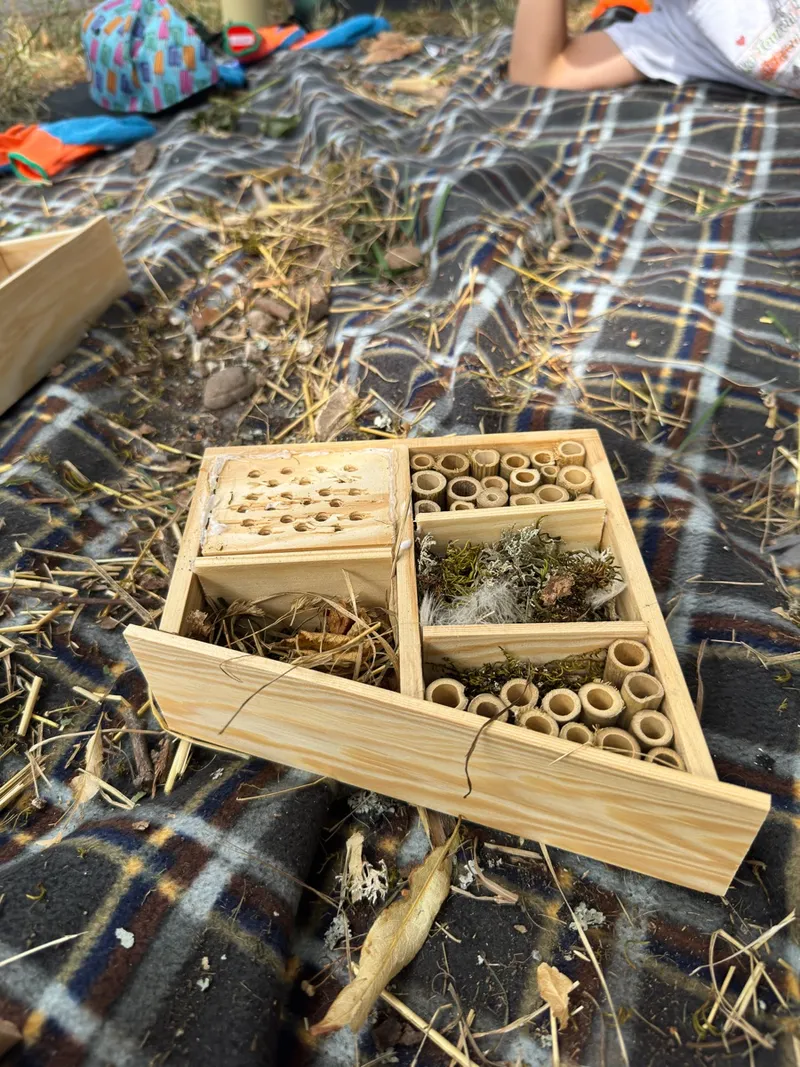 Eindruck: Rückblick: Insekten, Blüten & Bienen – unser Jahresprojekt ist gestartet