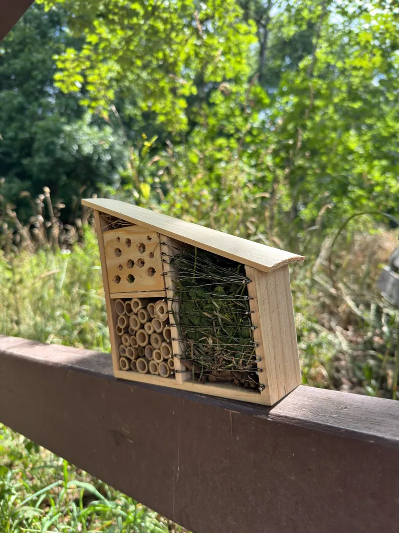 Eindruck: Rückblick: Insekten, Blüten & Bienen – unser Jahresprojekt ist gestartet