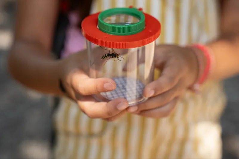 Eindruck: Rückblick: Insekten, Blüten & Bienen – unser Jahresprojekt ist gestartet