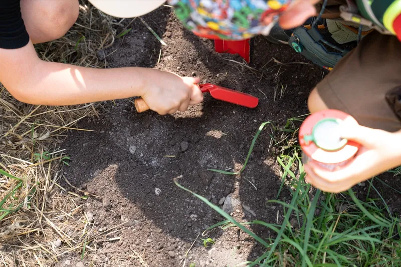 Eindruck: Rückblick: Insekten, Blüten & Bienen – unser Jahresprojekt ist gestartet