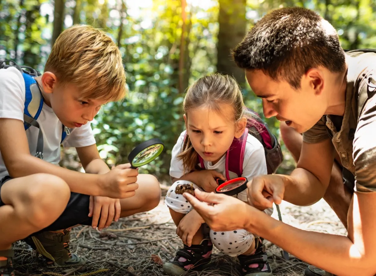 Kinder entdecken Pilze und Bäume im Wald